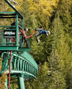 bungee jumping whistler
